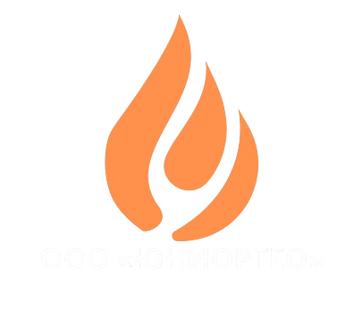 LLC UNIORGEO