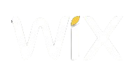 wix store